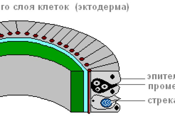 Пользователь не найден на кракене