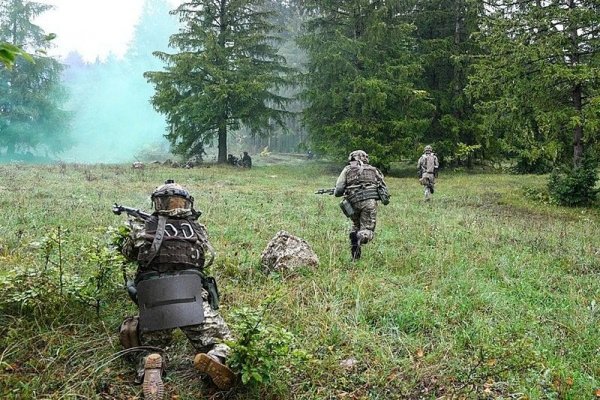 Ссылки на кракен маркетплейс тг